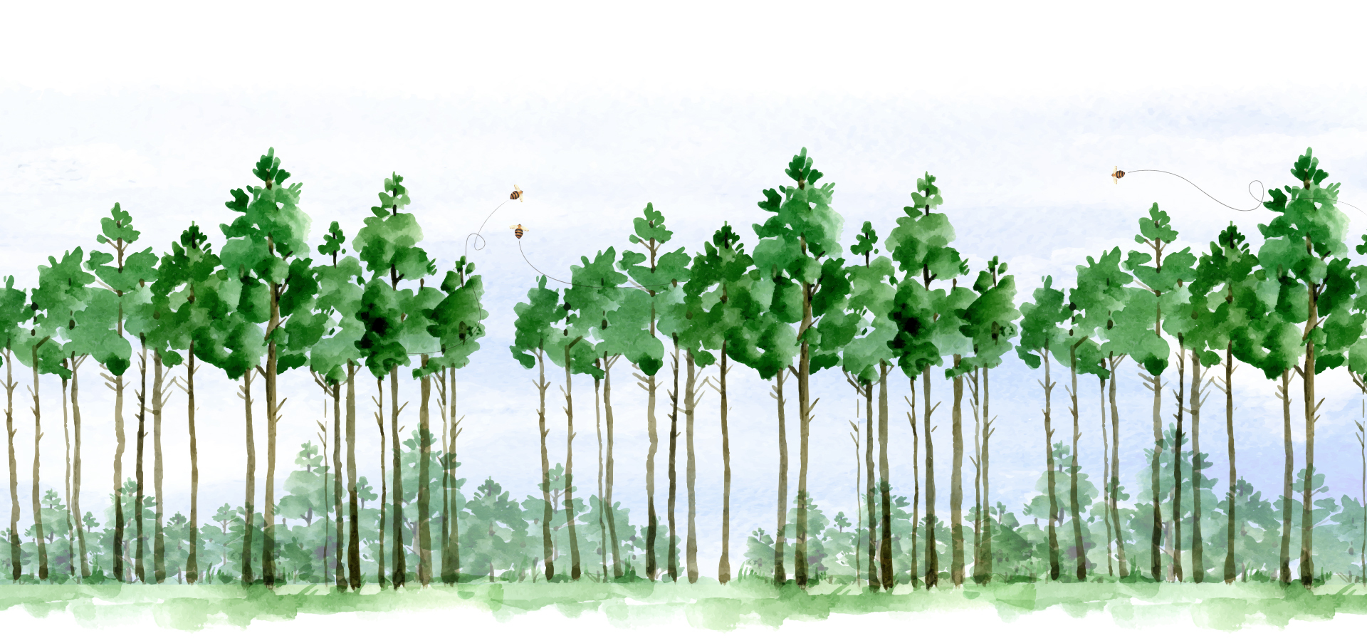 thumb_alberi_watercolor_1715694789.jpg