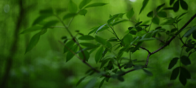 SandenVendo Manufacturing Plant in Italy Successfully Maintains All ISO Certifications, Confirming its Commitment to Sustainability