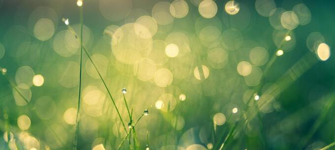 SandenVendo stabilirà i nuovi standard di responsabilità aziendale nel 2024