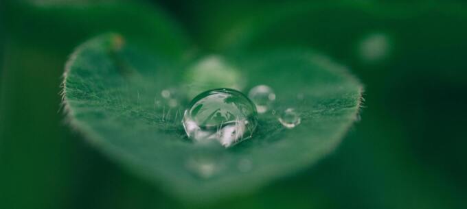 Le nostre unità di raffreddamento sono ancora più ecologiche